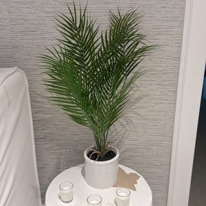 big palm tree fake plant 🪴!! all of the fake plants will be on a HUGE deal!!✌️